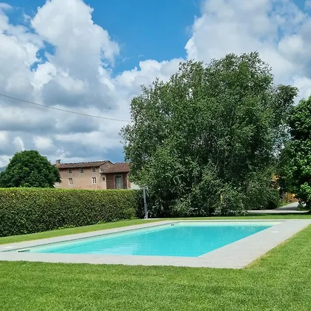 Le Rondini